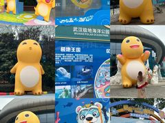 -海合安武汉极地海洋公园