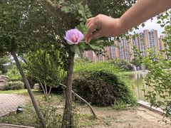-木塔寺遗址生态公园