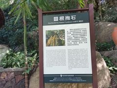 -三亚亚龙湾人间天堂鸟巢度假村