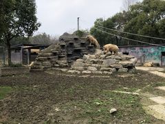 -宁波野生动物园