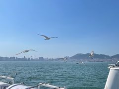 -刘公岛景区