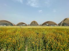 -中国天府农业博览园