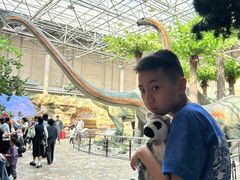 -国家自然博物馆