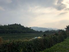 -美的鹭湖森林度假区