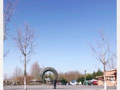 -大兴滨河森林公园