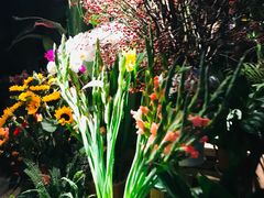 -春暖花开(西溪店)