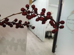 -杨丹国际美学肌研所