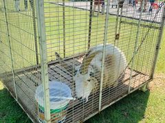 -千龙湖生态旅游度假区