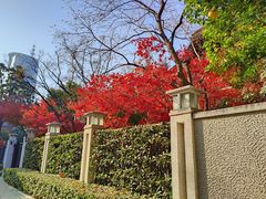 -思南公馆