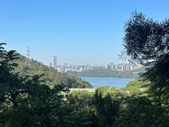 -深圳仙湖植物园