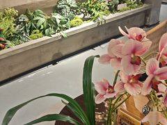 -施奈儿.洗头頭療.按摩SPA.采耳(上梅林店)