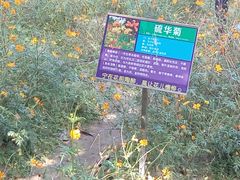 -广东花都香草世界旅游度假区