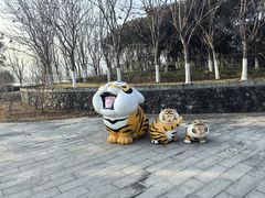 -长田漾湿地公园