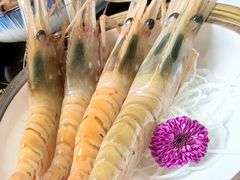 -松坂屋日料自助(长城路店)