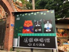 -有猫主题·治愈系猫咖(曾厝垵店)