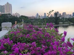 -厦门海湾公园游乐场