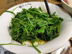 巧拌丝瓜尖-河沿肉饼Beijing Pie(东华门店)
