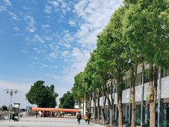 -洪湖生态旅游区