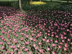 -长春公园(普阳街道)