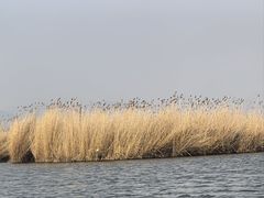 -大理洱源西湖景区
