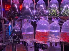 -华声天桥民俗文化园