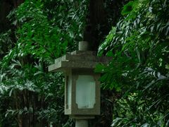 -广州兰圃