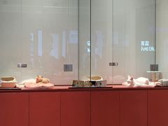 -babydoll猫舍·米努特·德文·缅因(久光中心店)