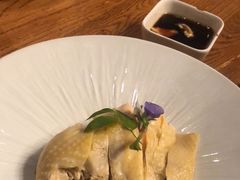 -新白鹿餐厅(百联中环店)