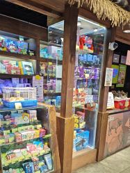 -卡通尼·Safari非洲探索乐园·生日会(金桥国际商业广场店)