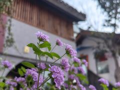 -山城巷传统风貌区
