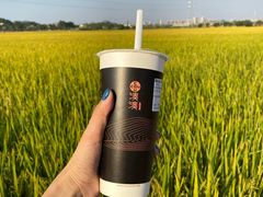 -湊湊火锅·茶憩(东城万达店)