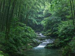 -莫干山风景区