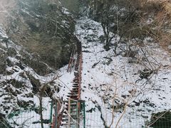 -青峰峡国家森林公园