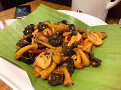 包烧杂菌-云水瑶意境云南菜(柏威年购物中心店)