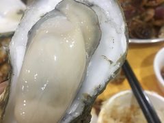 -蚝专家(北滘店)