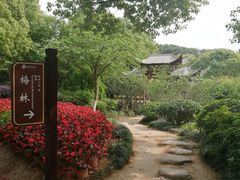 -白马涧龙池景区