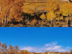 -塞罕坝国家级自然保护区