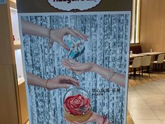 -哈根达斯(泉州万达店)