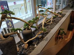 -丁胖家之味(鹏瑞利东站广场店)