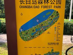 -长白岛森林公园