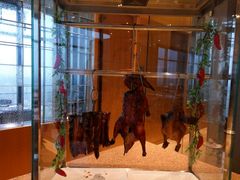 -视界美食自助餐厅·石家庄希尔顿酒店