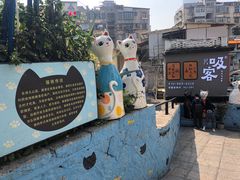 -猫咪博物馆(顶澳仔猫街店)