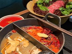 -大龙燚·旷野鲜火锅(广州首店)
