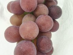 -美家乐农庄·露营·团建(大治路店)