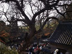 -青岛崂山太清宫