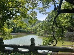 -阿育王寺