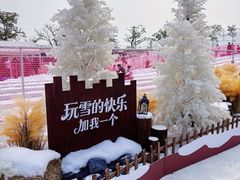 -盈香心动乐园