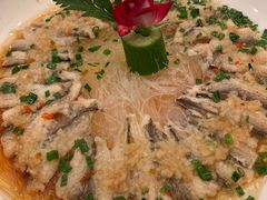 九肚鱼-金八仙酒店