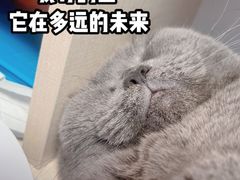 -名甬鲜坊·宁波海鲜(爱琴海店)