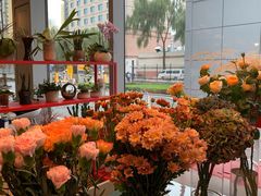 -dotcom coffee古点咖啡(致真大厦店)